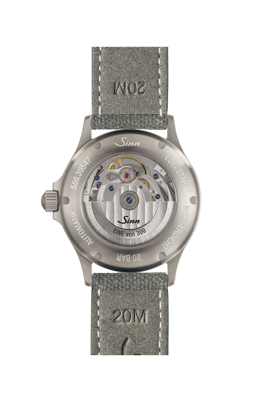 556 Sand – Back view