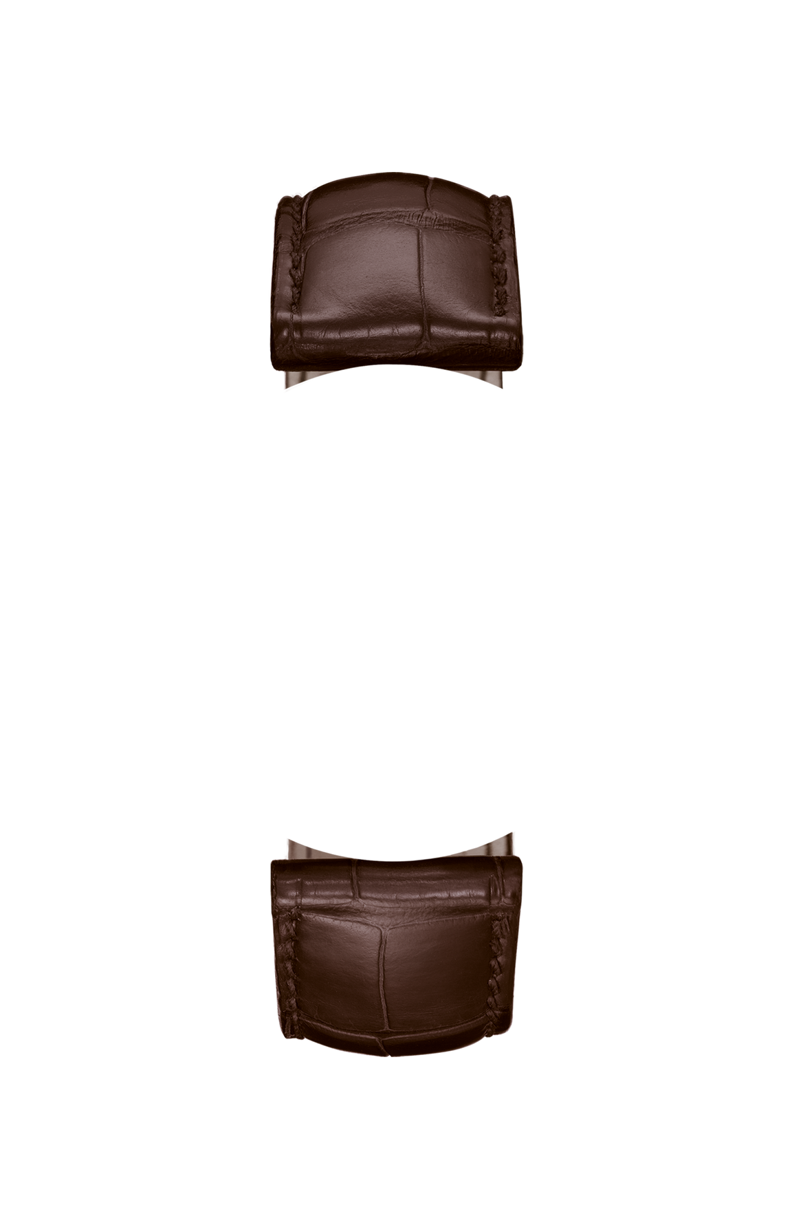Mocha-coloured alligator leather strap – Front view