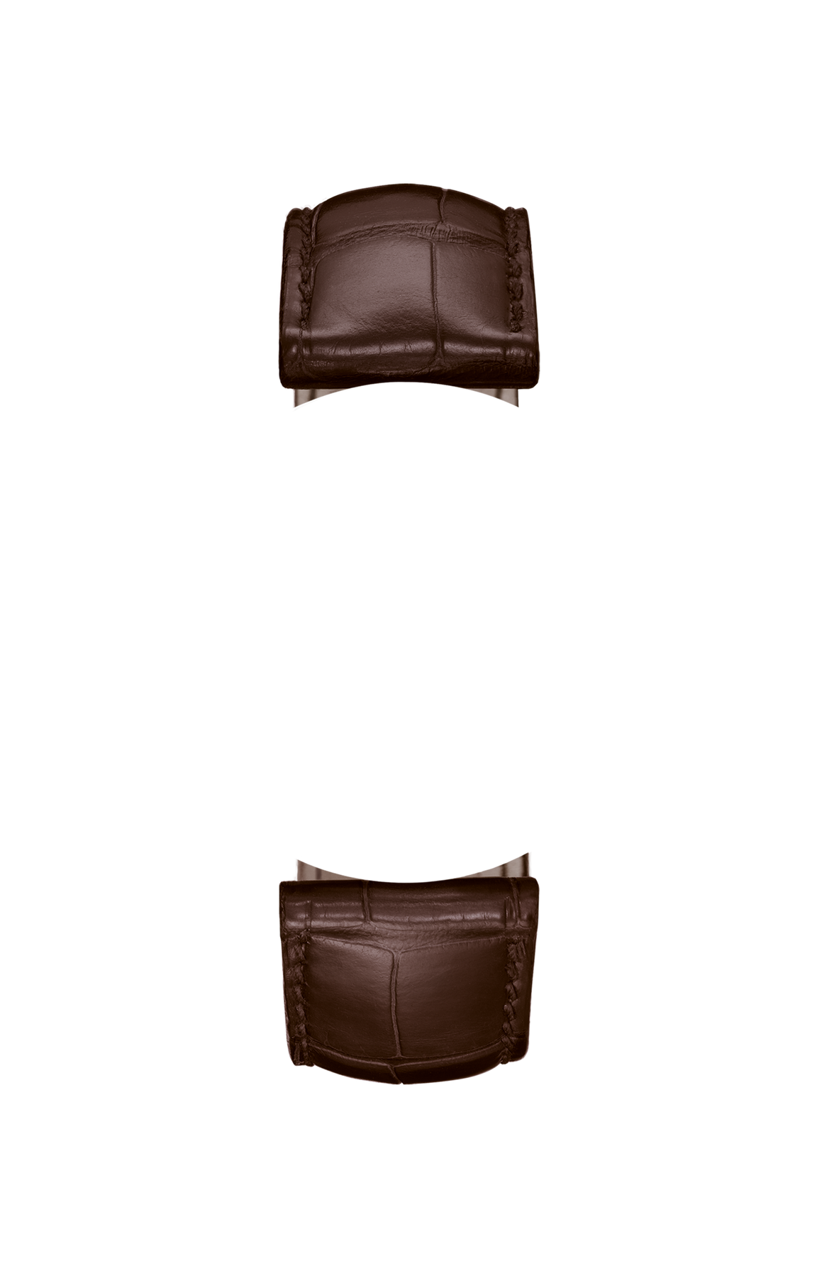 Mocha-coloured alligator leather strap – Front view