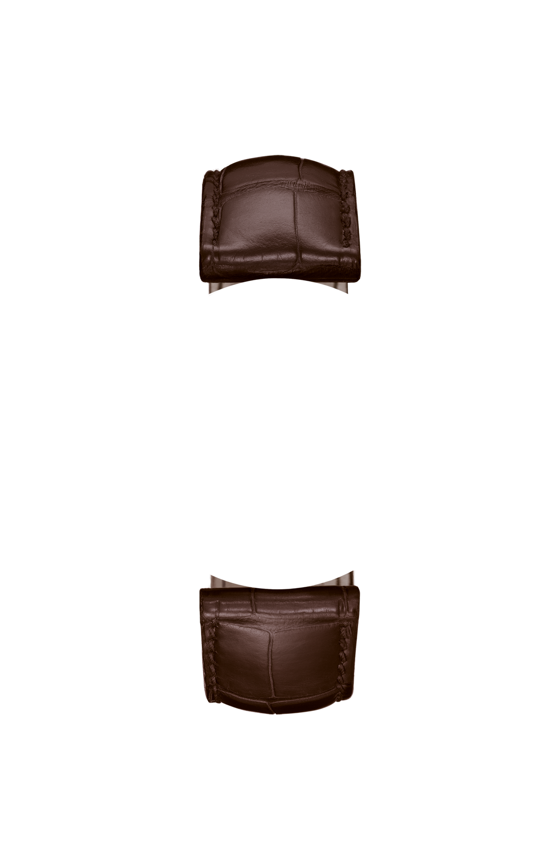 Mocha-coloured alligator leather strap – Front view