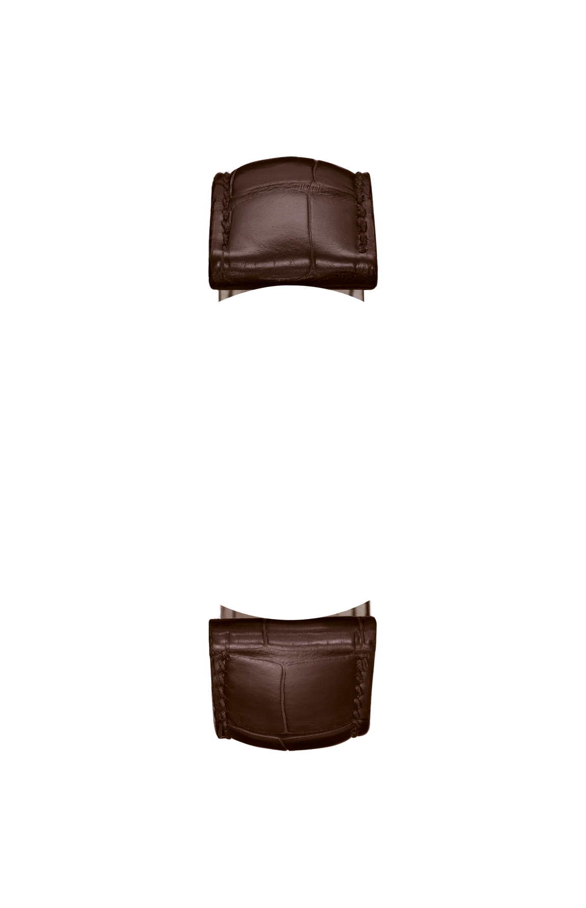 Mocha-coloured alligator leather strap – Front view