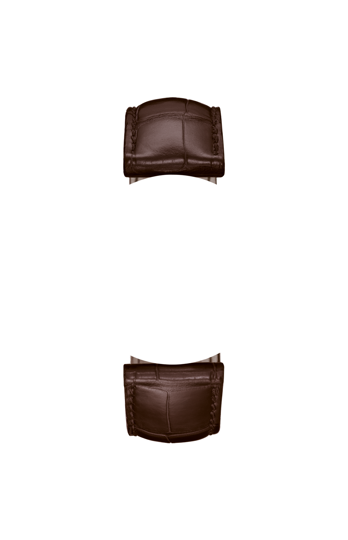 Mocha-coloured alligator leather strap – Front view