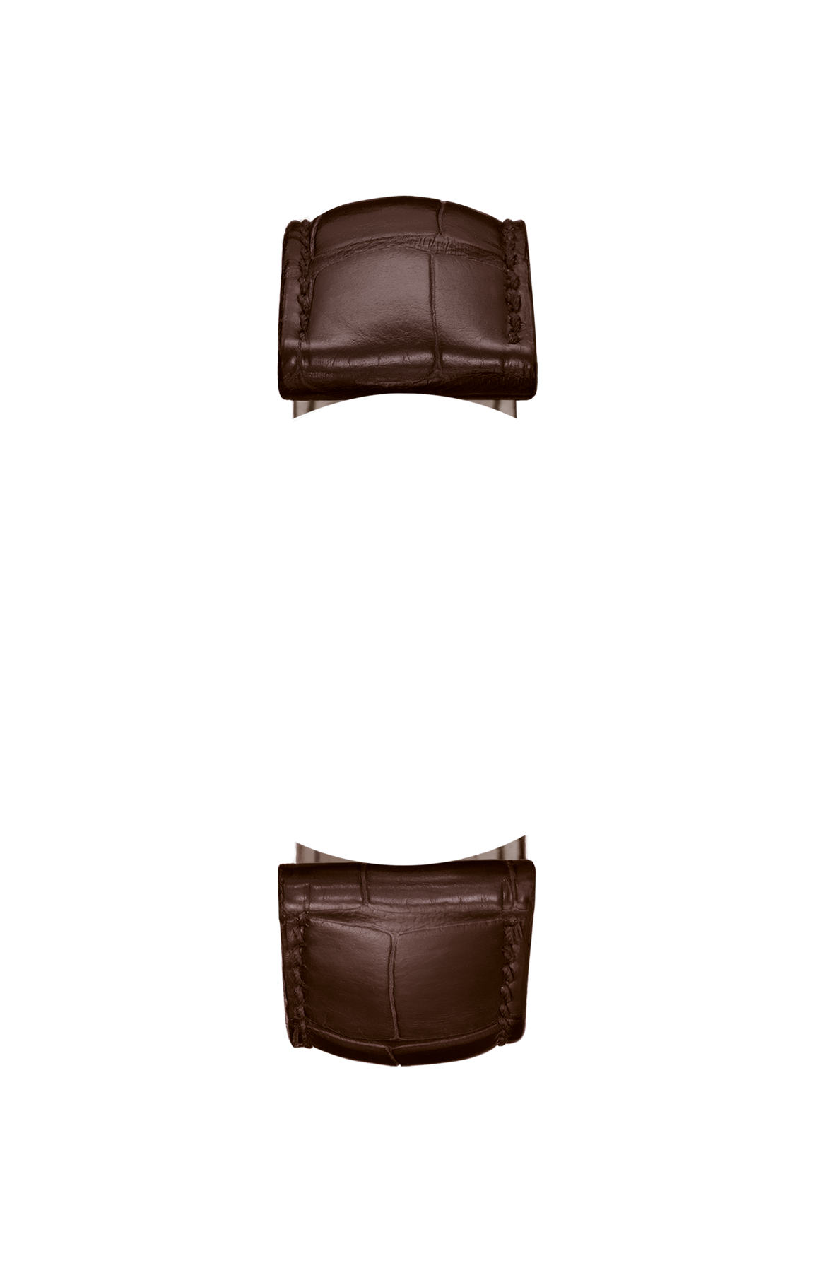 Mocha-coloured alligator leather strap – Front view